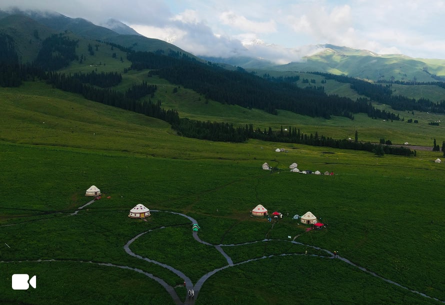 remove object video after