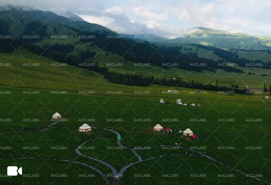 remove object video before