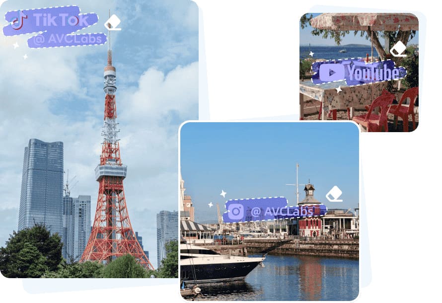 avclabs remove water mark from video