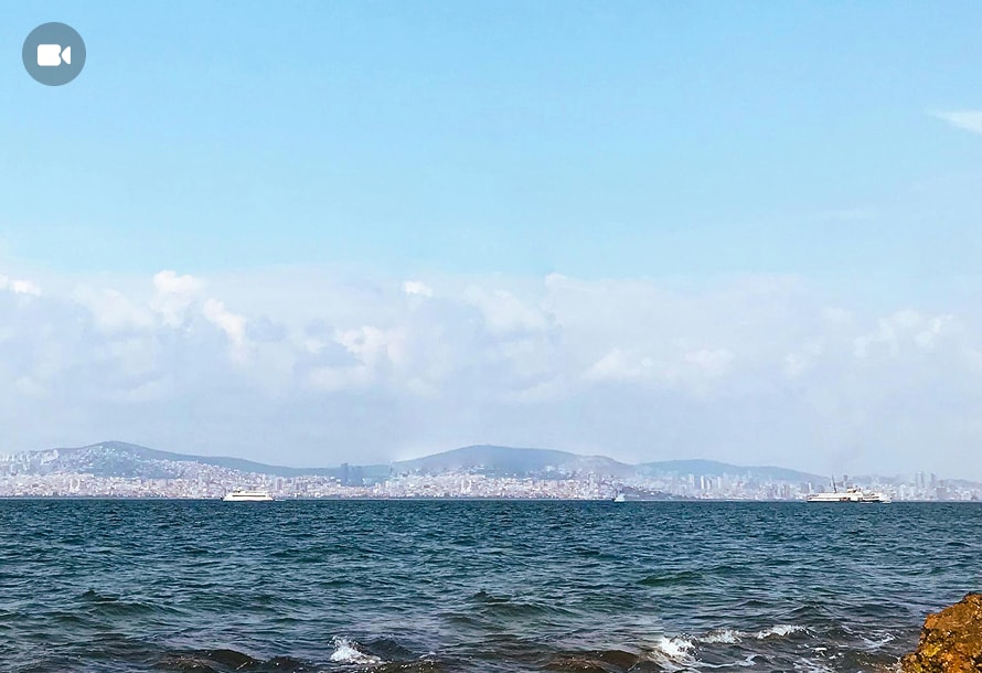 avclabs remove object from video online free after