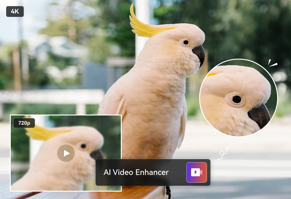 any video converter video enhancer