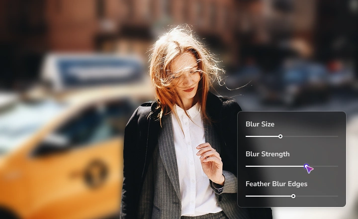 avclabs video blur customize blur settings
