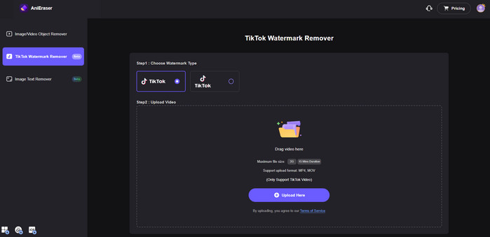 anieraser eliminar marca de agua tiktok en línea