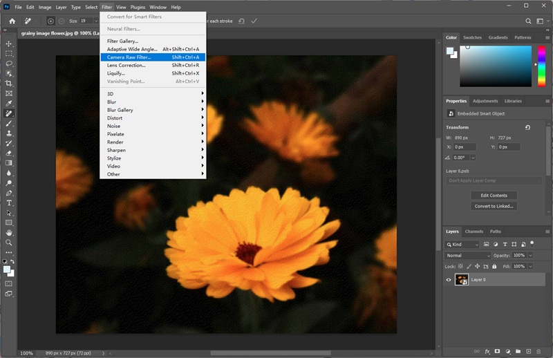 camera raw filter photoshop