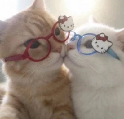 cat matching pfp for couples