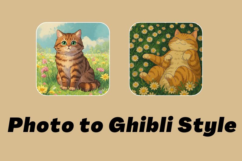convert photo to ghibli style