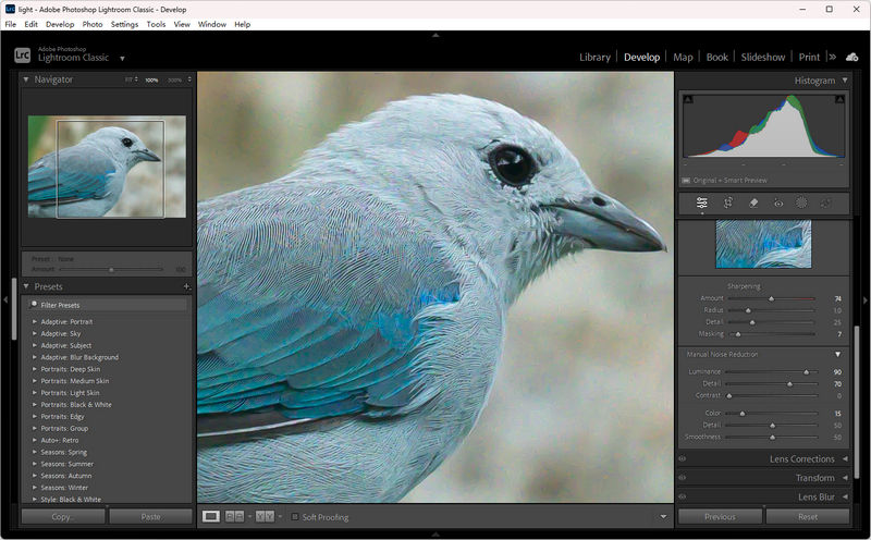 how to fix grainy image in lightroom