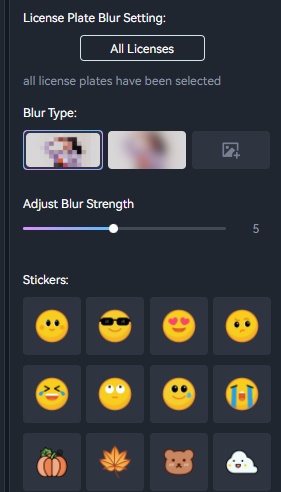 edit blur settings in AVCLabs Video Blur AI