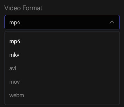 avi video format