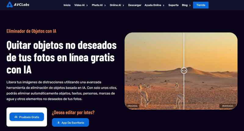 avclabs removedor de texto en línea de la imagen